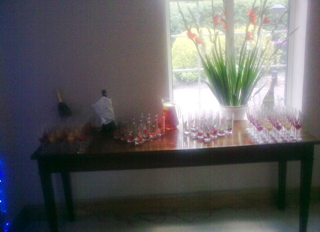 Reception Drinks 2