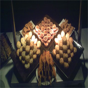 Canape Starters